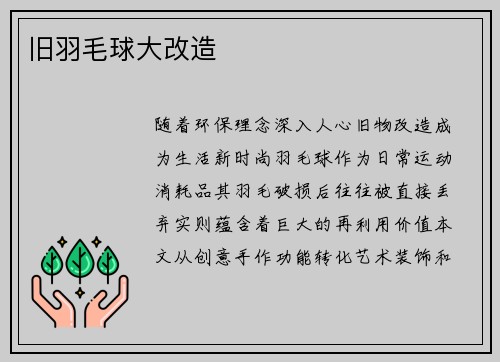 旧羽毛球大改造
