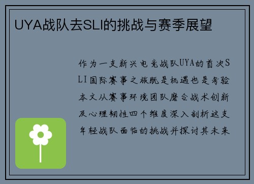 UYA战队去SLI的挑战与赛季展望